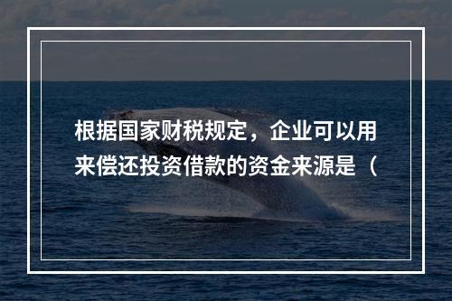 根据国家财税规定，企业可以用来偿还投资借款的资金来源是（