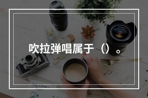 吹拉弹唱属于（）。