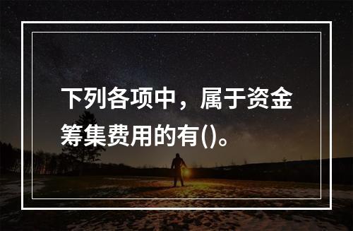 下列各项中，属于资金筹集费用的有()。