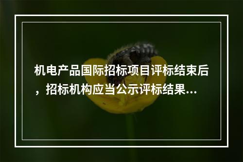 机电产品国际招标项目评标结束后，招标机构应当公示评标结果，公