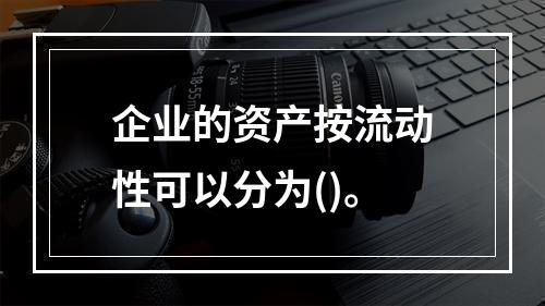 企业的资产按流动性可以分为()。