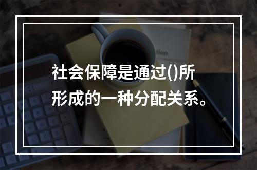 社会保障是通过()所形成的一种分配关系。