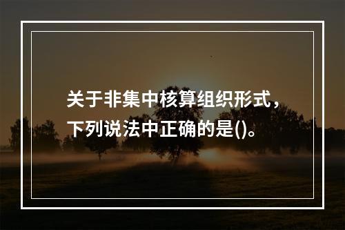 关于非集中核算组织形式，下列说法中正确的是()。