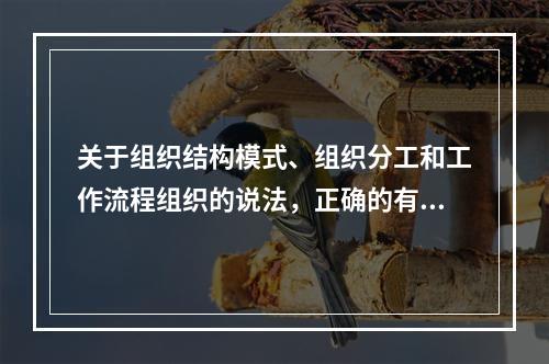 关于组织结构模式、组织分工和工作流程组织的说法，正确的有（　