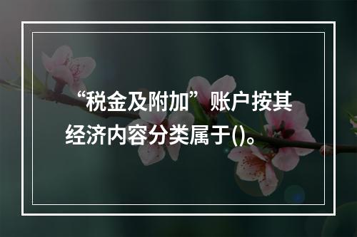 “税金及附加”账户按其经济内容分类属于()。