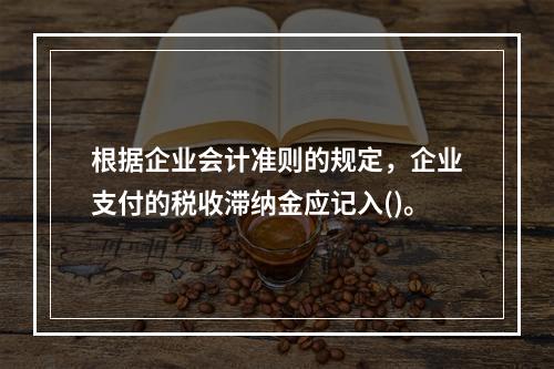 根据企业会计准则的规定，企业支付的税收滞纳金应记入()。