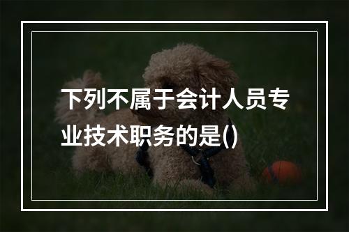 下列不属于会计人员专业技术职务的是()