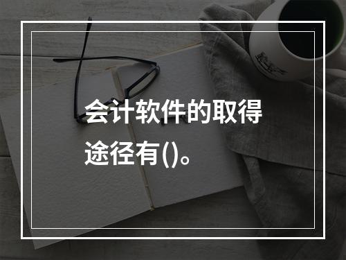 会计软件的取得途径有()。