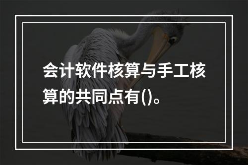 会计软件核算与手工核算的共同点有()。