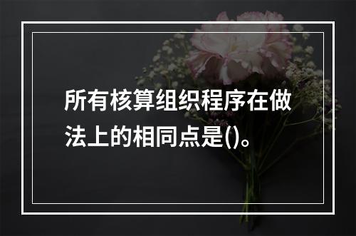 所有核算组织程序在做法上的相同点是()。