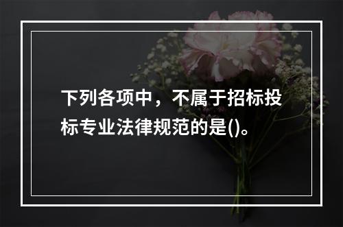 下列各项中，不属于招标投标专业法律规范的是()。