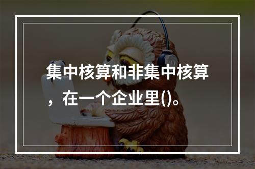 集中核算和非集中核算，在一个企业里()。