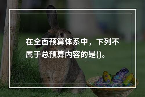 在全面预算体系中，下列不属于总预算内容的是()。