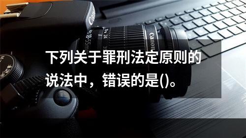 下列关于罪刑法定原则的说法中，错误的是()。