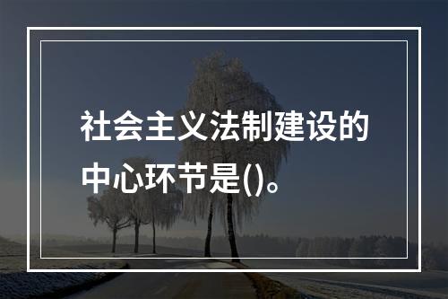 社会主义法制建设的中心环节是()。