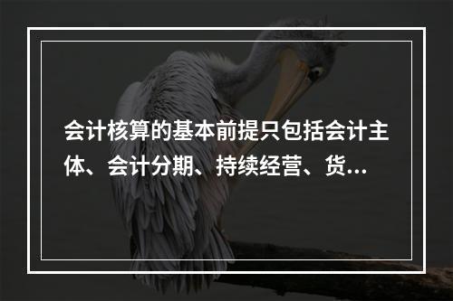 会计核算的基本前提只包括会计主体、会计分期、持续经营、货币计