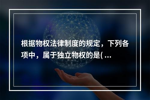 根据物权法律制度的规定，下列各项中，属于独立物权的是( )。