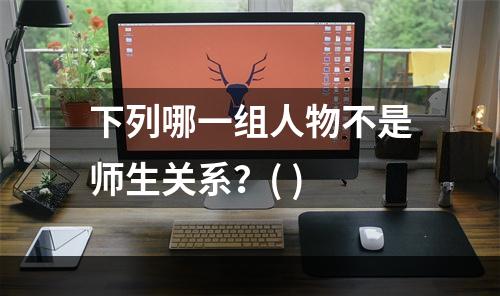 下列哪一组人物不是师生关系？( )