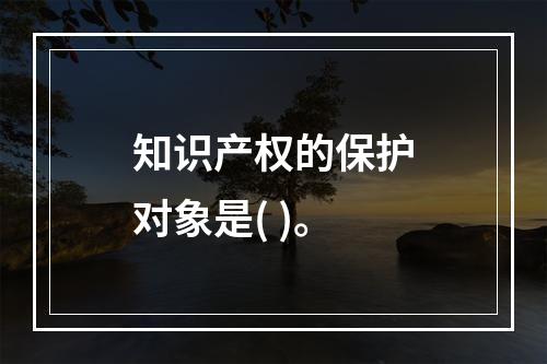 知识产权的保护对象是( )。