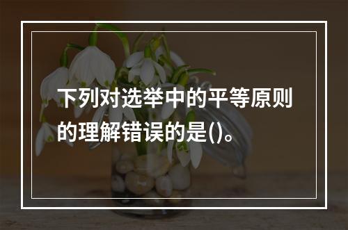 下列对选举中的平等原则的理解错误的是()。