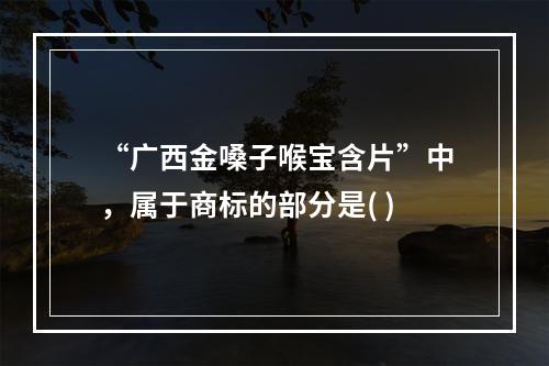 “广西金嗓子喉宝含片”中，属于商标的部分是( )