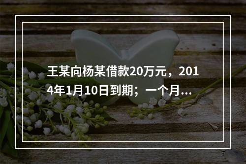 王某向杨某借款20万元，2014年1月10日到期；一个月后，