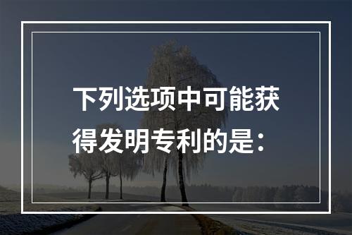 下列选项中可能获得发明专利的是：