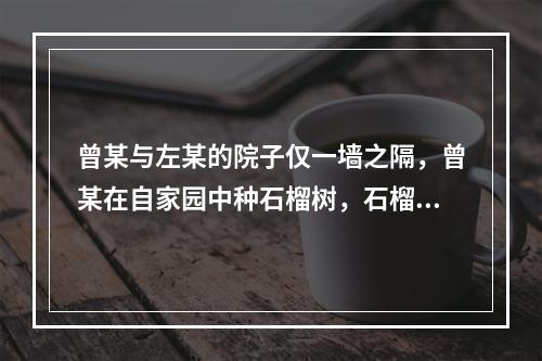 曾某与左某的院子仅一墙之隔，曾某在自家园中种石榴树，石榴树枝