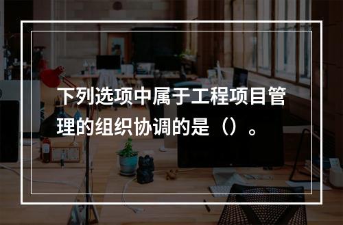 下列选项中属于工程项目管理的组织协调的是（）。