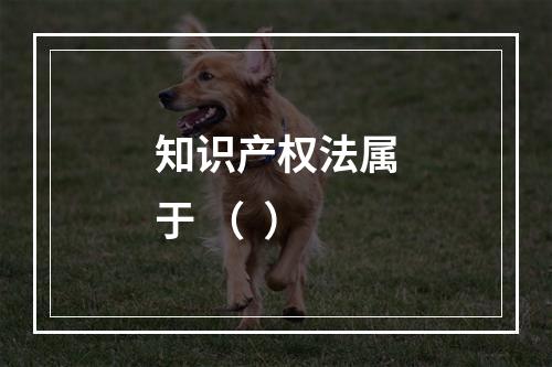 知识产权法属于 （  ）