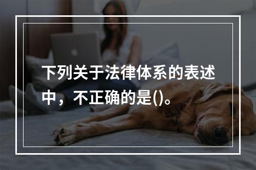 下列关于法律体系的表述中，不正确的是()。