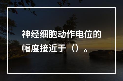 神经细胞动作电位的幅度接近于（）。