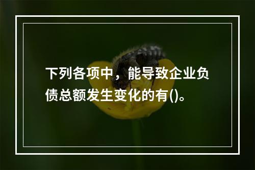 下列各项中，能导致企业负债总额发生变化的有()。