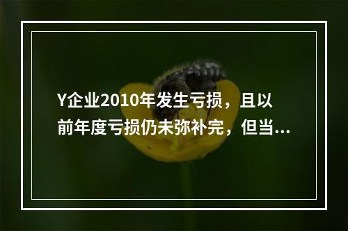 Y企业2010年发生亏损，且以前年度亏损仍未弥补完，但当年仍