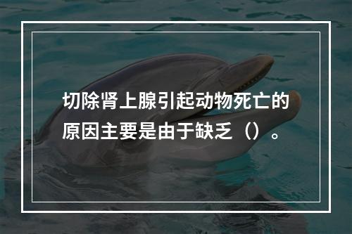 切除肾上腺引起动物死亡的原因主要是由于缺乏（）。