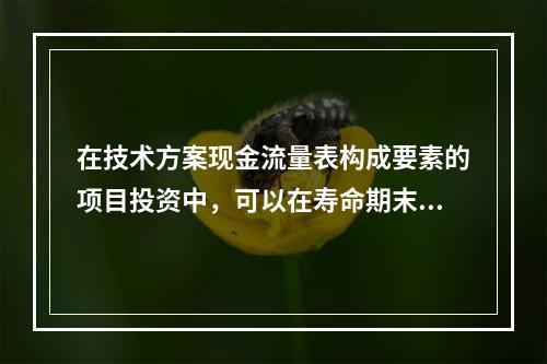 在技术方案现金流量表构成要素的项目投资中，可以在寿命期末收回