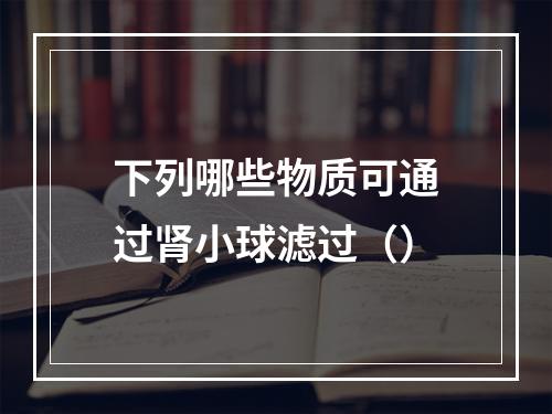 下列哪些物质可通过肾小球滤过（）