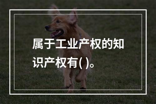 属于工业产权的知识产权有( )。