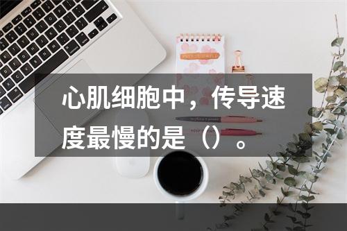 心肌细胞中，传导速度最慢的是（）。