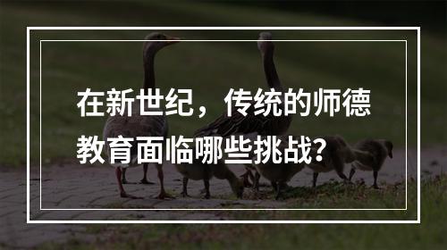 在新世纪，传统的师德教育面临哪些挑战？