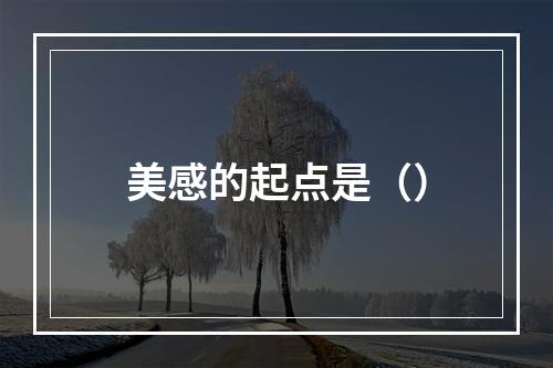 美感的起点是（）