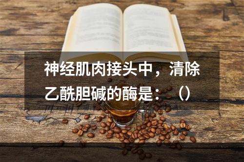 神经肌肉接头中，清除乙酰胆碱的酶是：（）