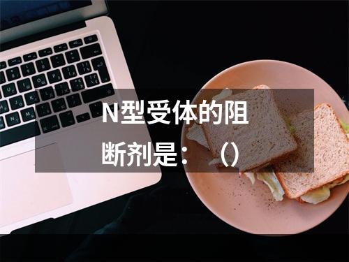 N型受体的阻断剂是：（）