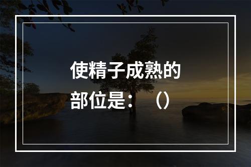 使精子成熟的部位是：（）