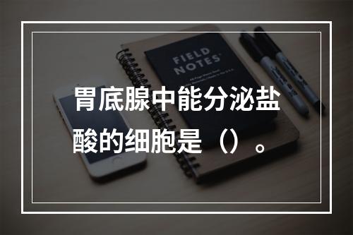 胃底腺中能分泌盐酸的细胞是（）。