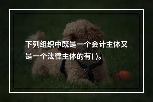 下列组织中既是一个会计主体又是一个法律主体的有( )。