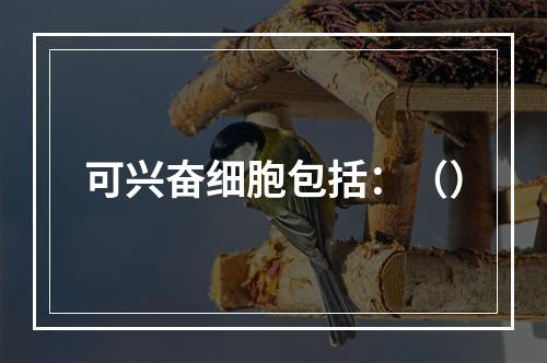 可兴奋细胞包括：（）