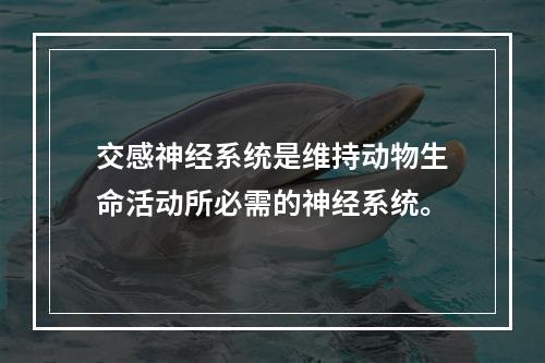 交感神经系统是维持动物生命活动所必需的神经系统。