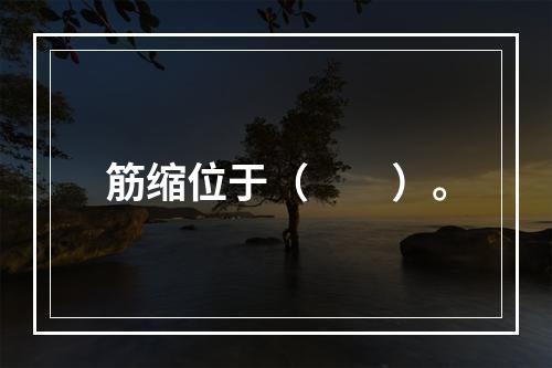 筋缩位于（　　）。