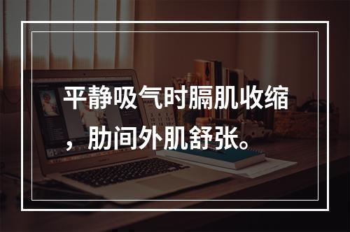 平静吸气时膈肌收缩，肋间外肌舒张。